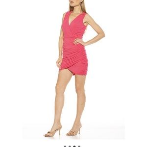 NWT Alecia admor dress